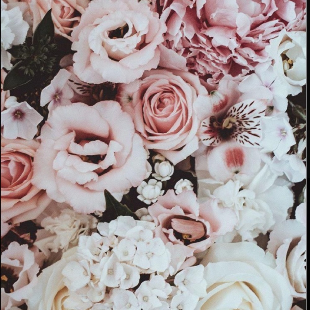 Meet your Posher, Loni